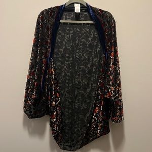Sheer/ velvet robe